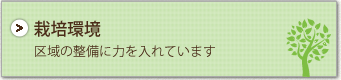 栽培環境